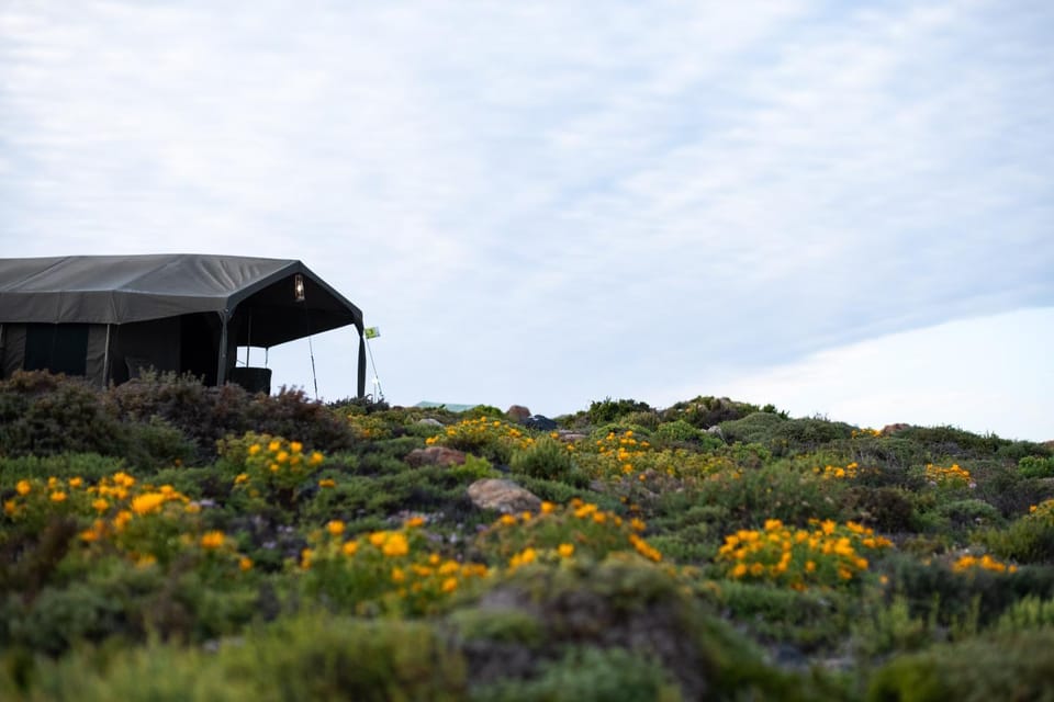 Natural landscape, Sea view, Sea view, Area and facilities