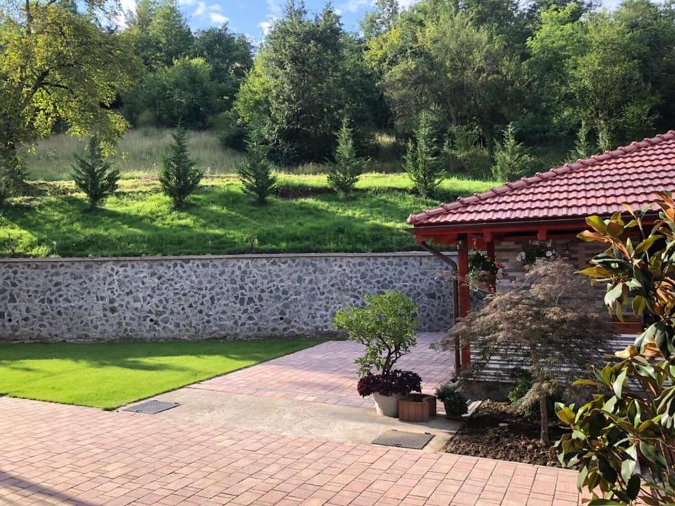 Pensiunea Crimar Bed and Breakfast in Timiș County