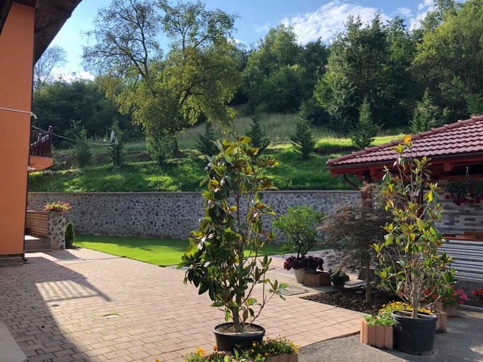 Pensiunea Crimar Bed and Breakfast in Timiș County