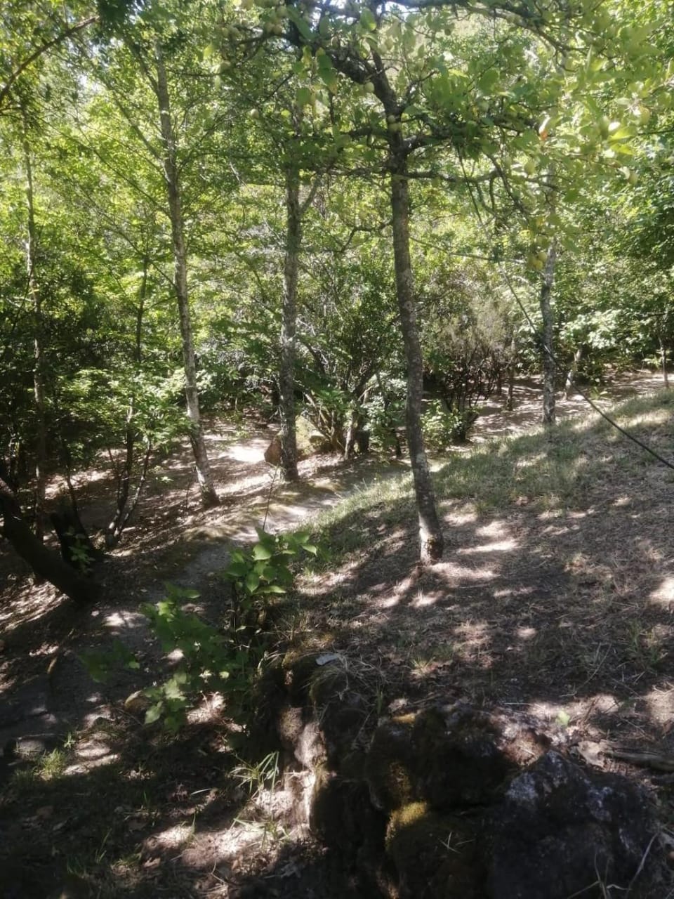 Valley Cabril Selvagem Campground/ 
RV Resort in Vila Real District