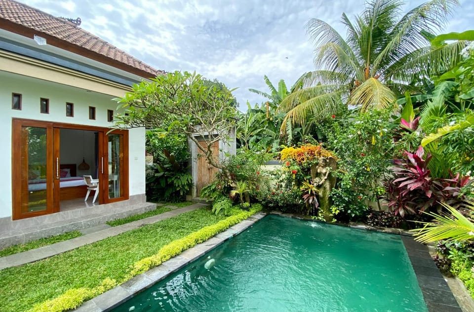 Property building, Garden, Garden view, Pool view, Swimming pool