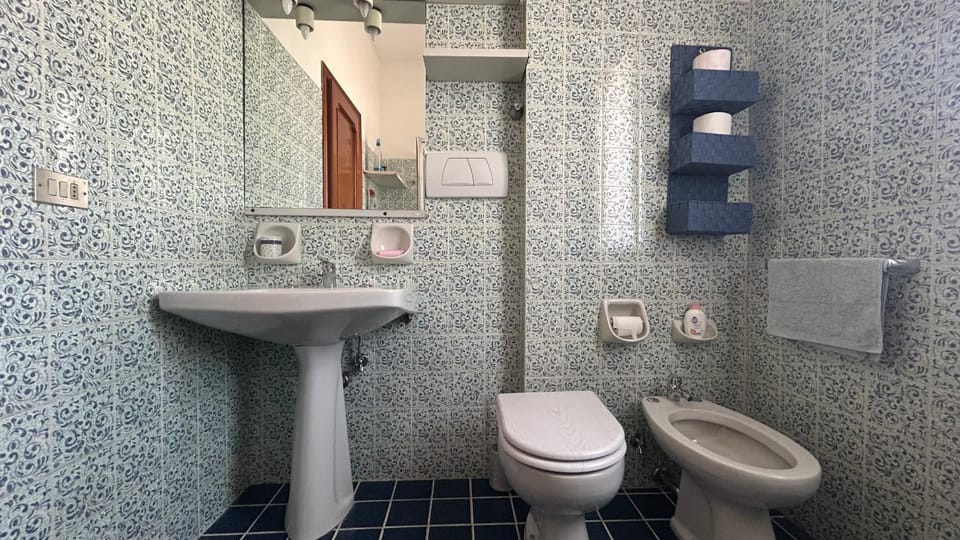 Shower, Toilet, Bathroom, bidet