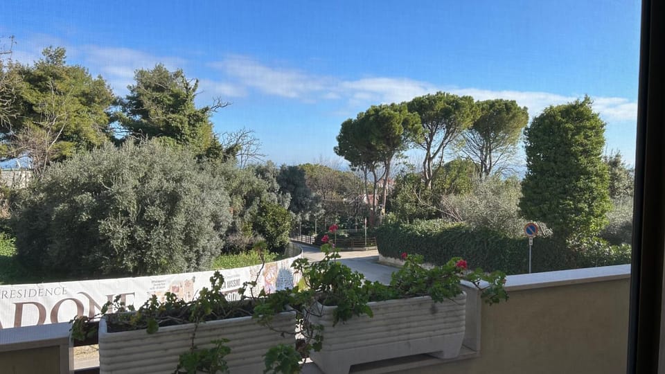 View (from property/room)
