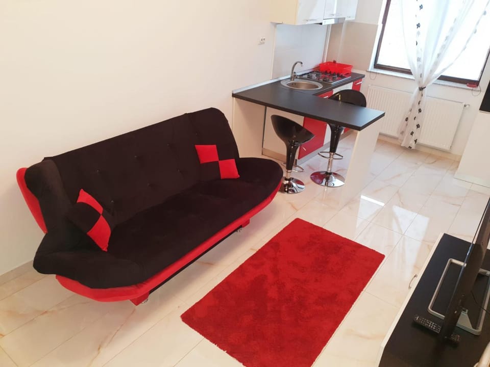 Ground 0 Apartment in Romania