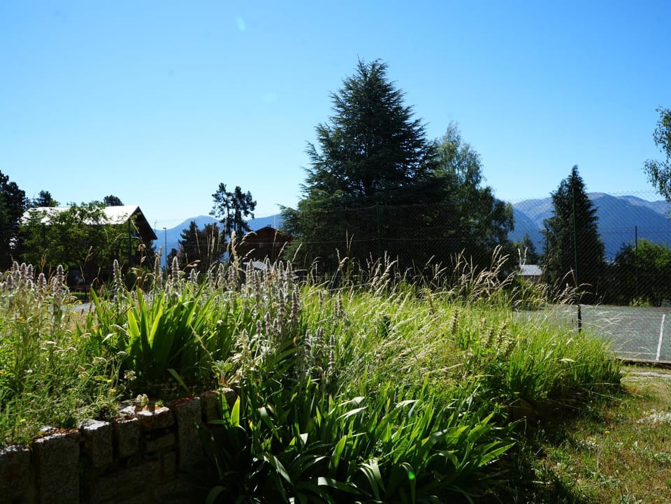 Font-Romeu studio residence Apartment in Bolquère