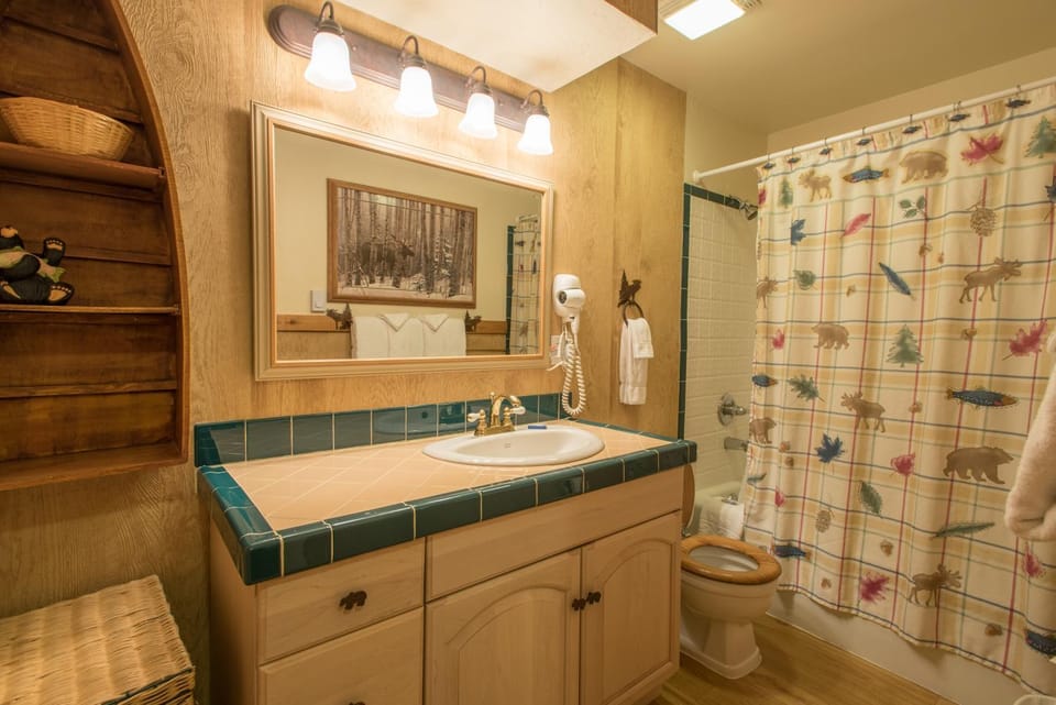Ten Mile Haus B6 House in Copper Mountain