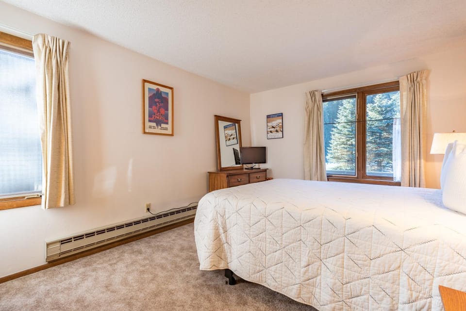 Ten Mile Haus B1 House in Summit County