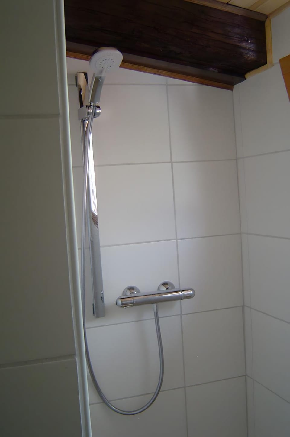 Bathroom, Living room