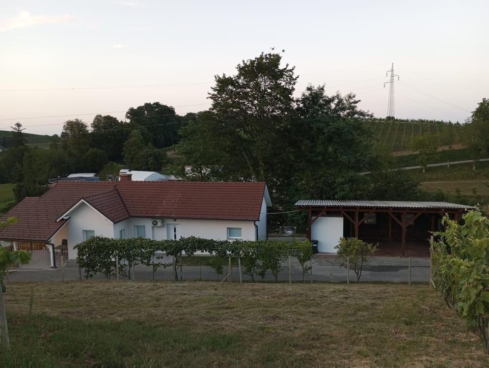 Vinea Apartma Apartment in Slovenia