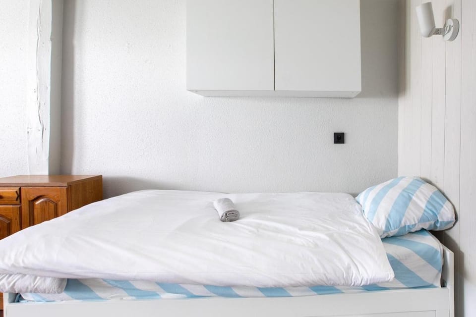 Le Nordique Apartment in Mulhouse