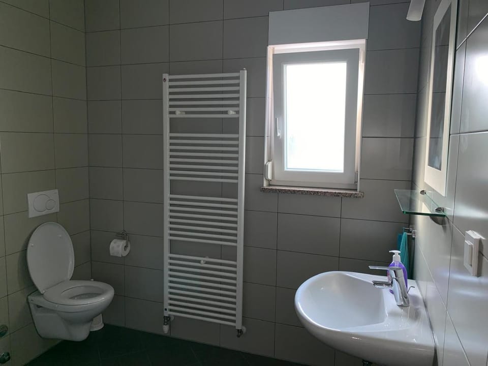 Shower, Toilet, towels