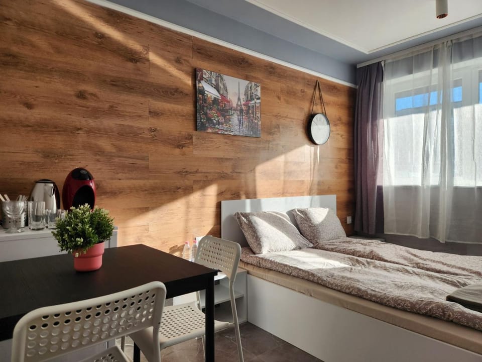Continental studios 6 Apartment in Sofia