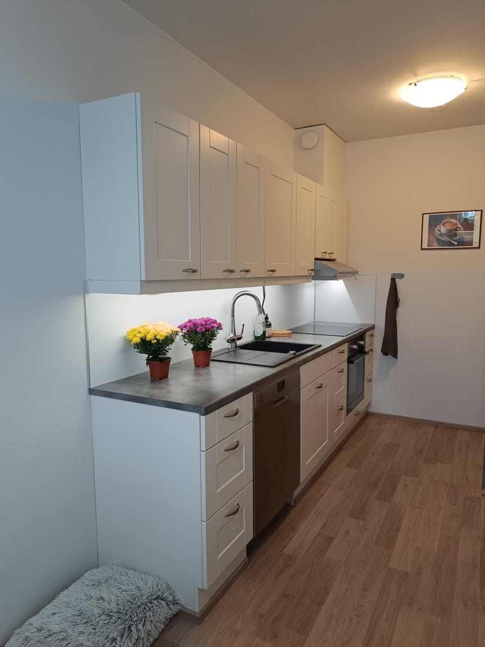 Walhalla Kuhala apartment Apartment in Finland