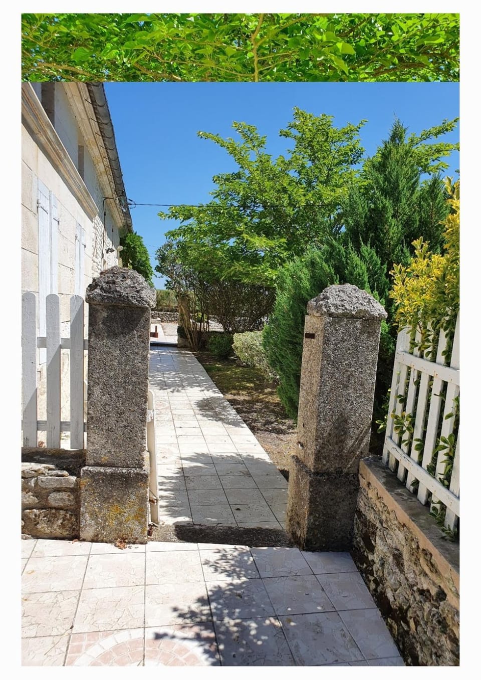 Longère charentaise 180m2 avec jardin et terrasse House in Nouvelle-Aquitaine