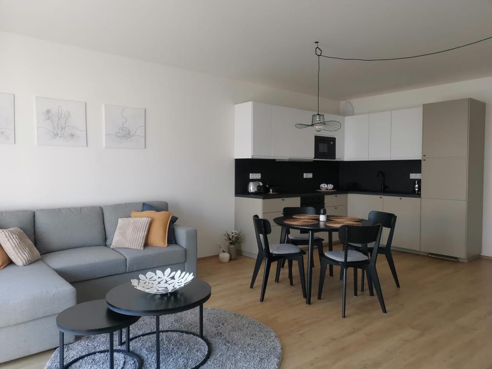Kitchen or kitchenette, Living room, Seating area, Dining area, kitchen