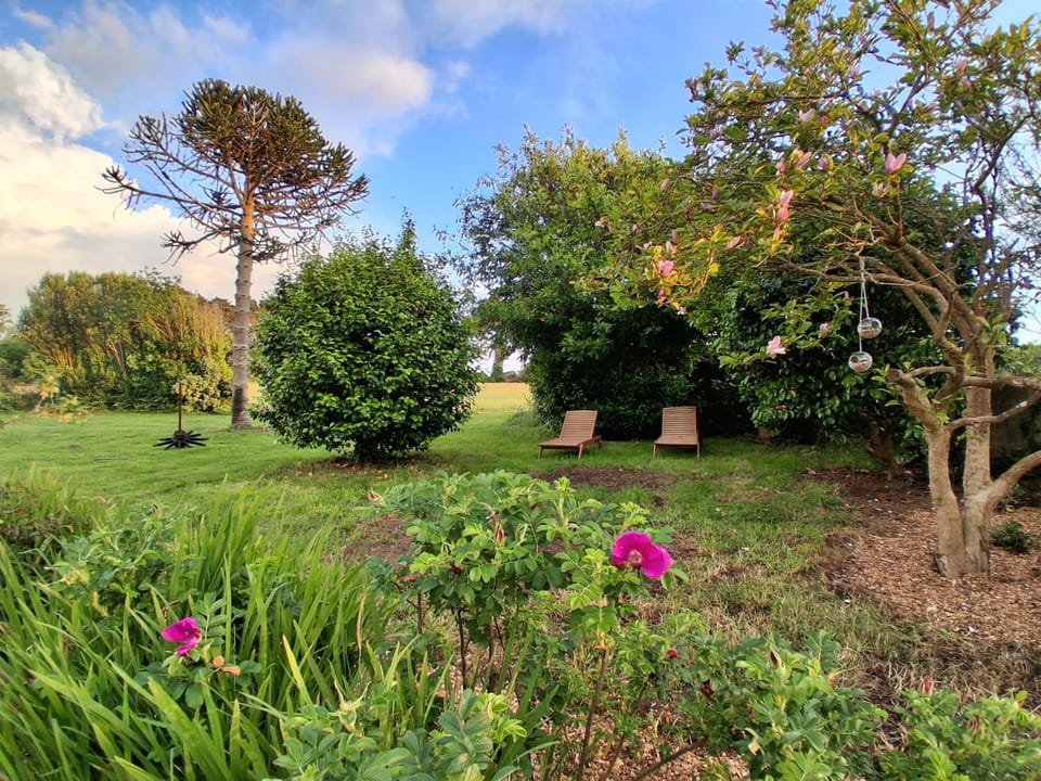 Garden, View (from property/room)
