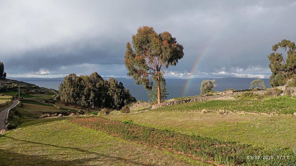 Hospedaje Mamani de isla amantani Hotel in Puno, Peru