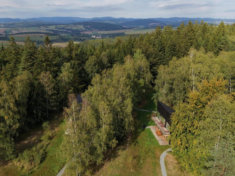 Neighbourhood, Natural landscape, Bird's eye view