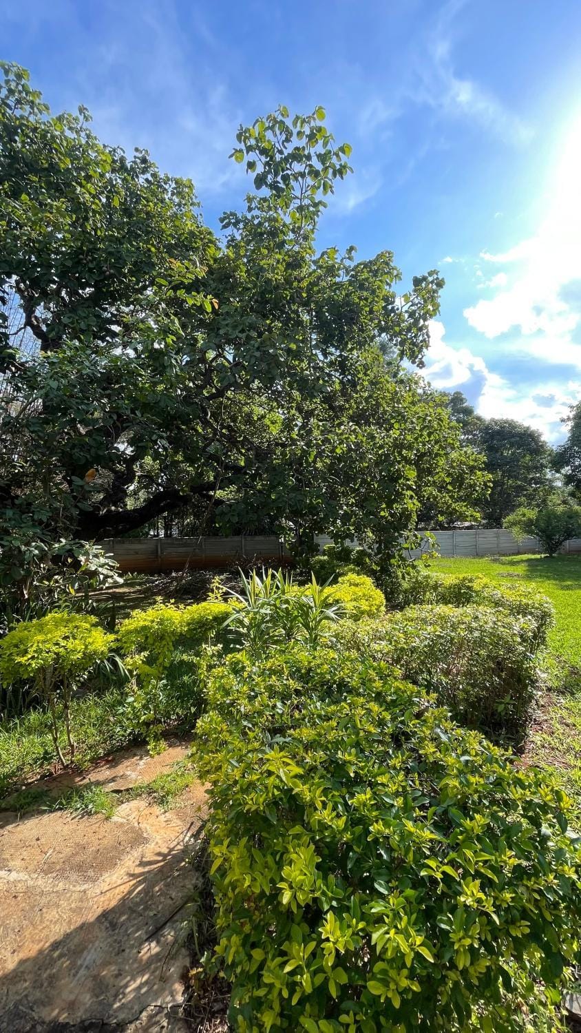 A Casa da lua Nature lodge in Lagoa Santa