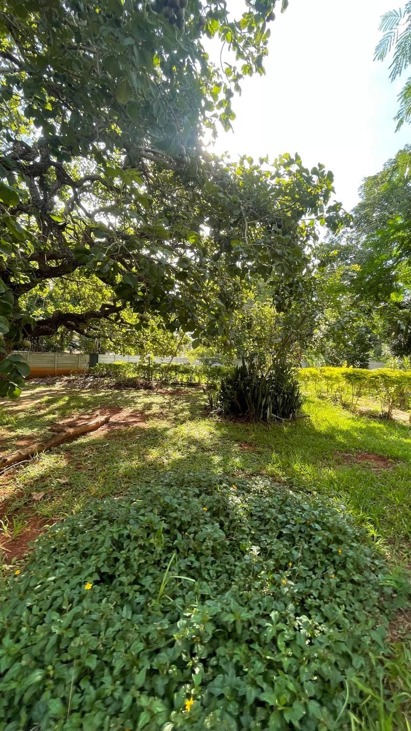 A Casa da lua Nature lodge in Lagoa Santa