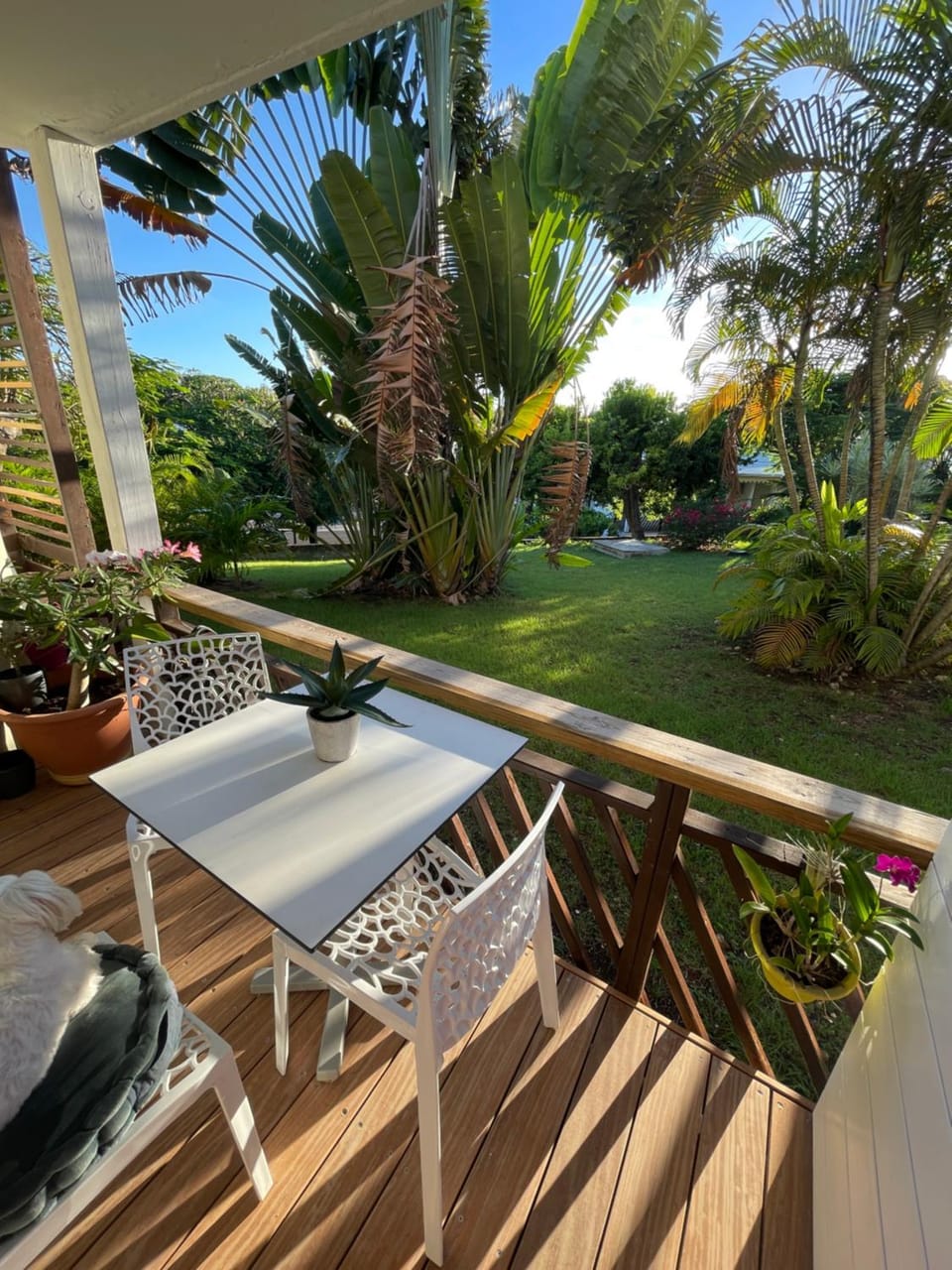 Patio, Garden, Balcony/Terrace, Garden view