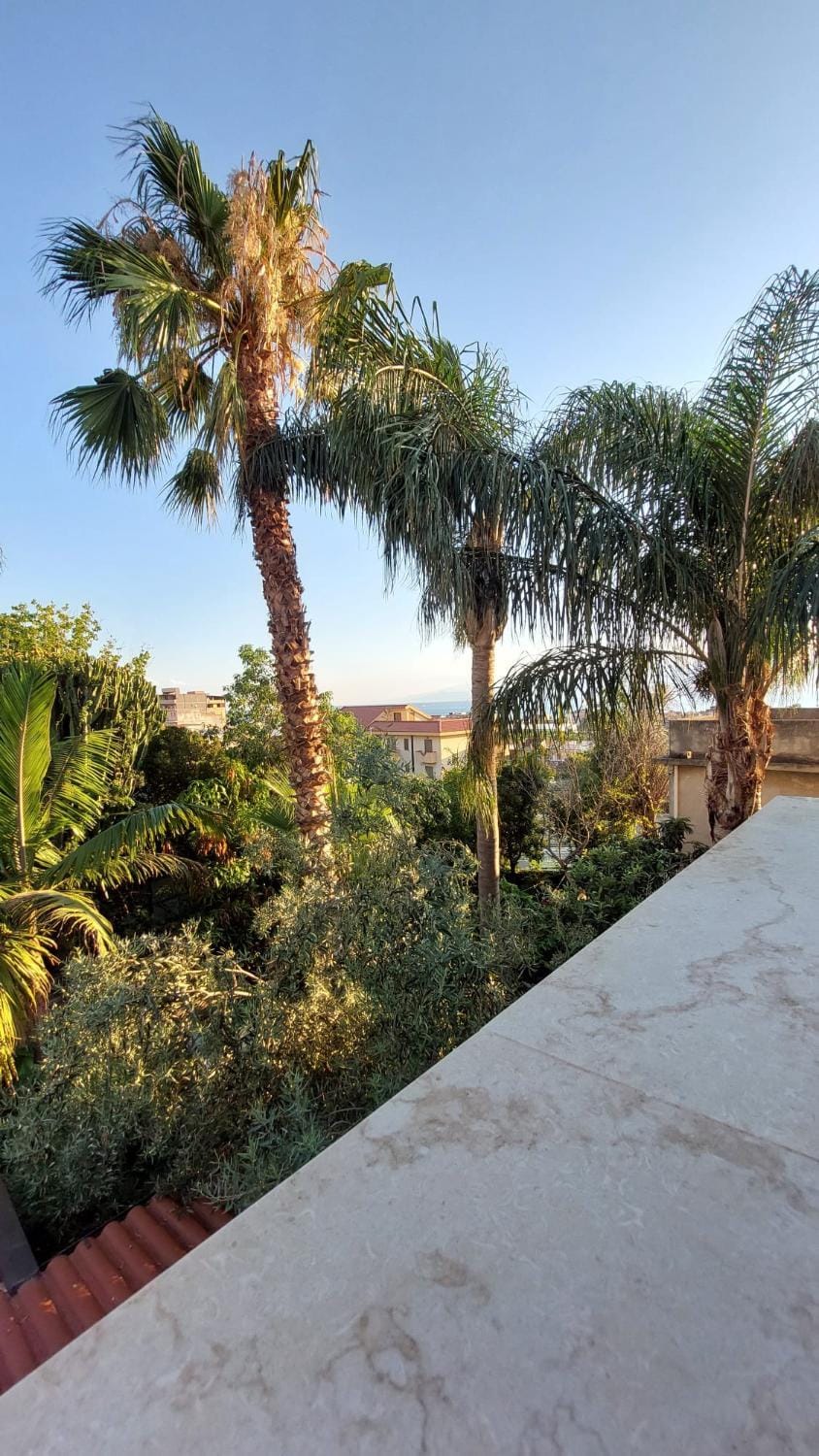 Day, Garden, Garden view