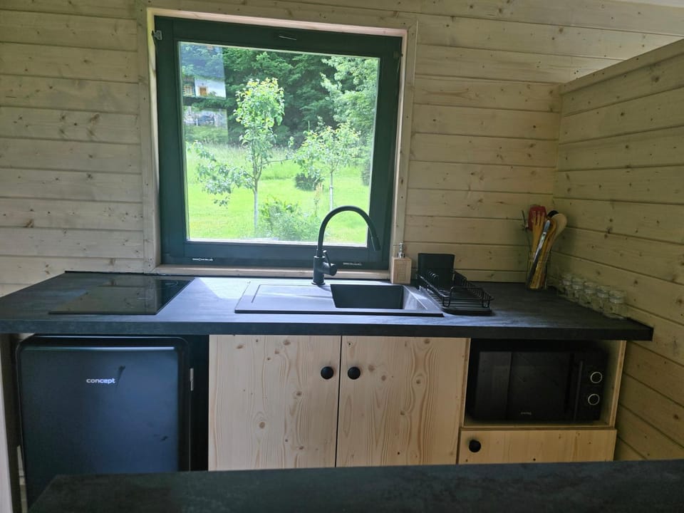 Kitchen or kitchenette, Bedroom, microwave, stove
