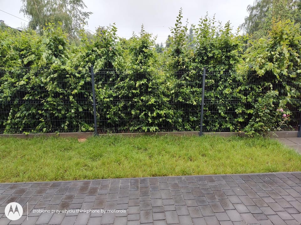 Apartament Brzeziny Zacisze-Ogród Apartment in Lesser Poland Voivodeship