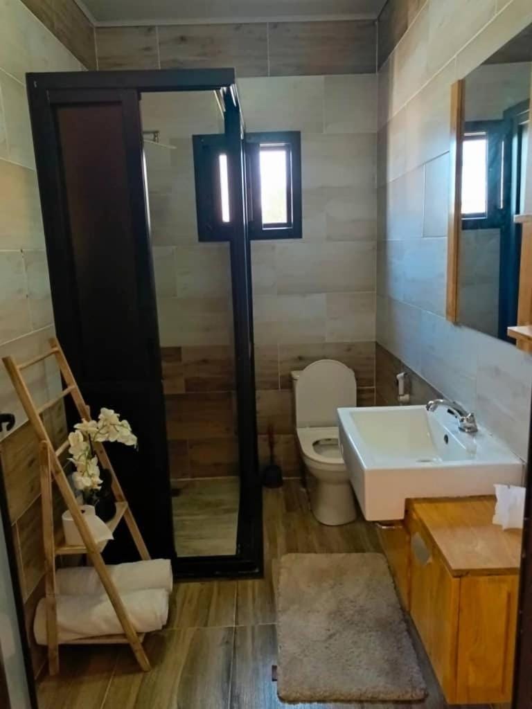 Cozy Apartment Apartment in Lusaka