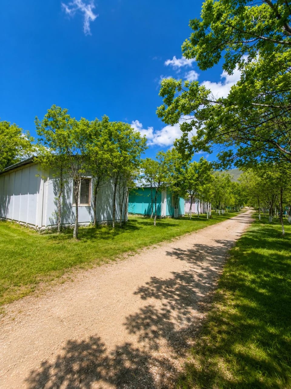 Property building, Spring, Day, Natural landscape, Garden, Garden view