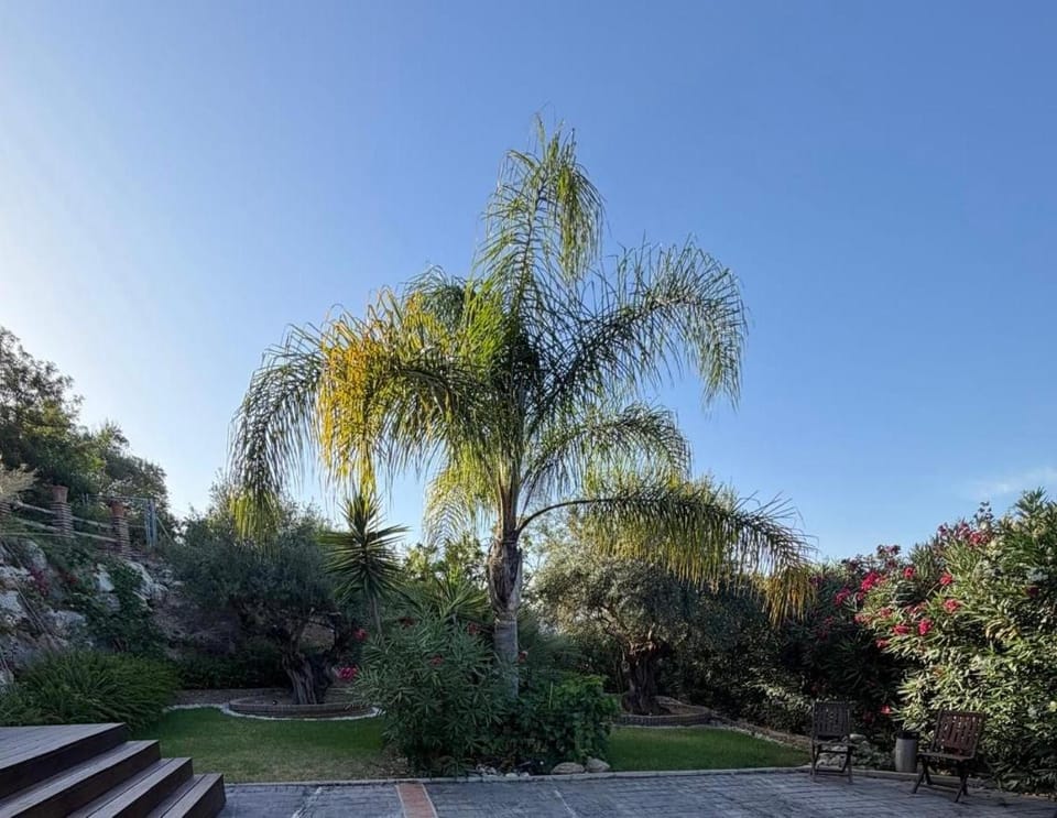 Garden view