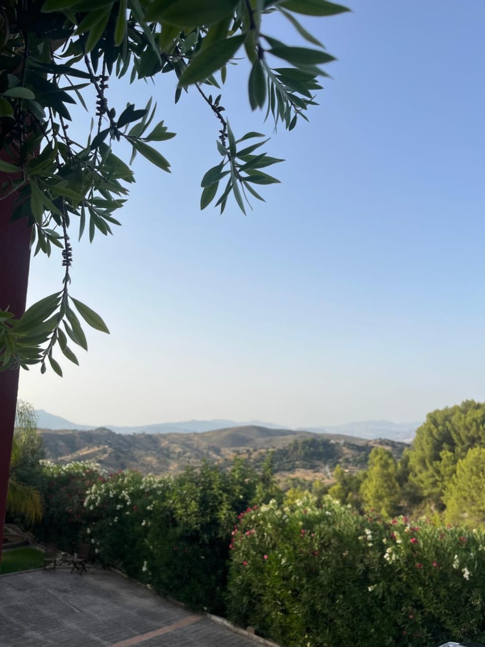 Mountain view