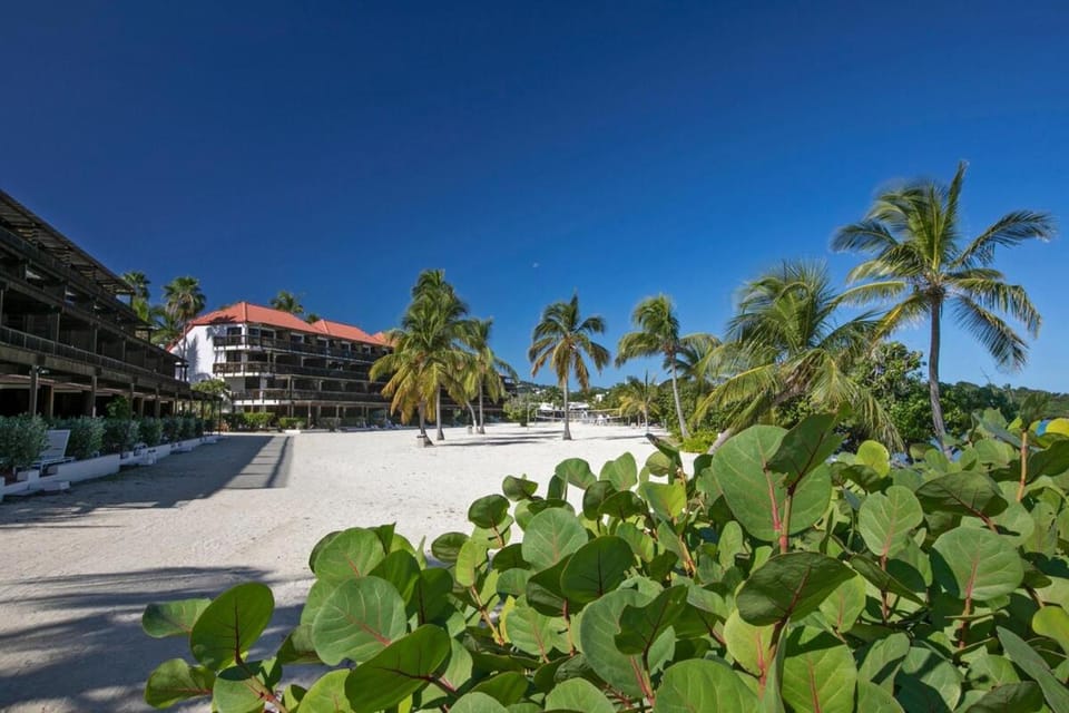 Sapphire Beach Ground Fl Step Out to the Beach, Generator! Apartment in Virgin Islands (U.S.)