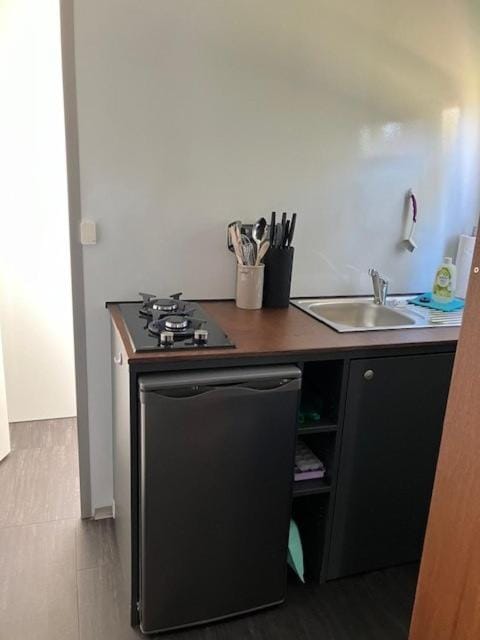 Reetblick Apartment in Schleswig-Holstein