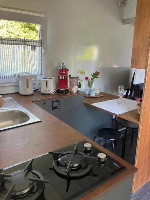 Reetblick Apartment in Schleswig-Holstein