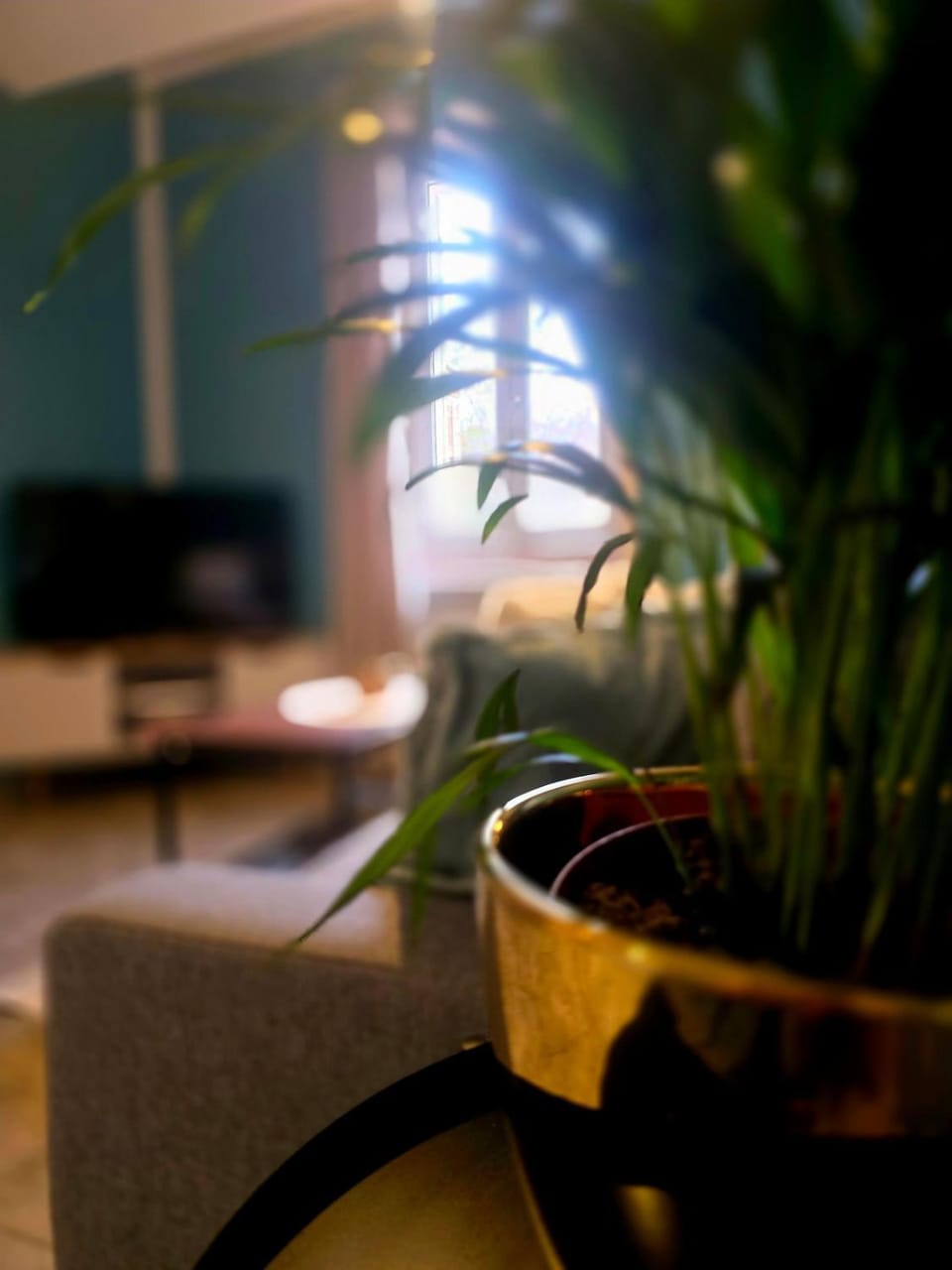 Sweet City Break - Appartement entièrement équipé Apartment in Toulon