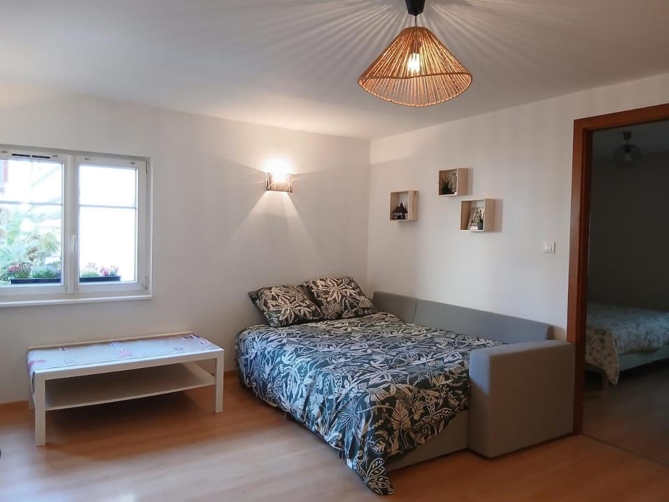 Spacieux gîte, les Petits Bouchons, entre Eguisheim et Colmar, au coeur du vignoble Apartment in Grand Est