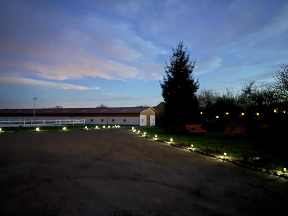 Night, Natural landscape, Garden