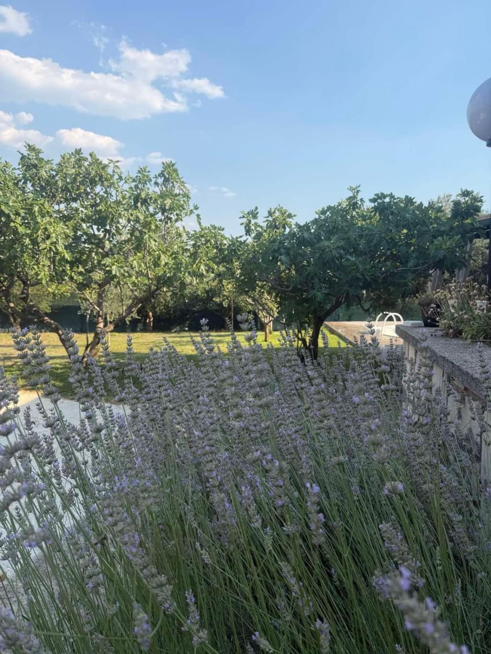 Holiday house Esma House in Federation of Bosnia and Herzegovina