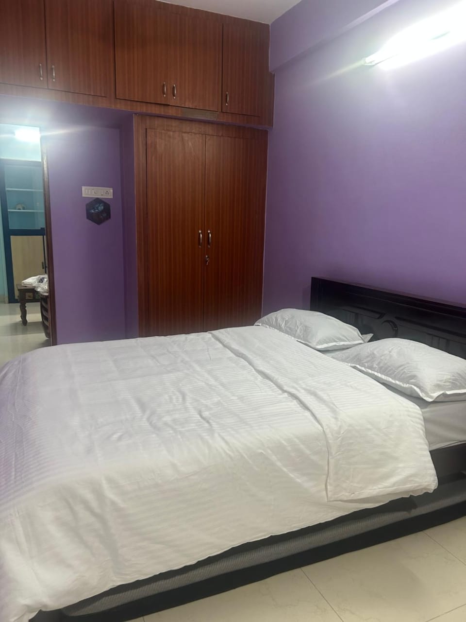 Deluxe Flat in Adyar Chennai Apartment in Chennai