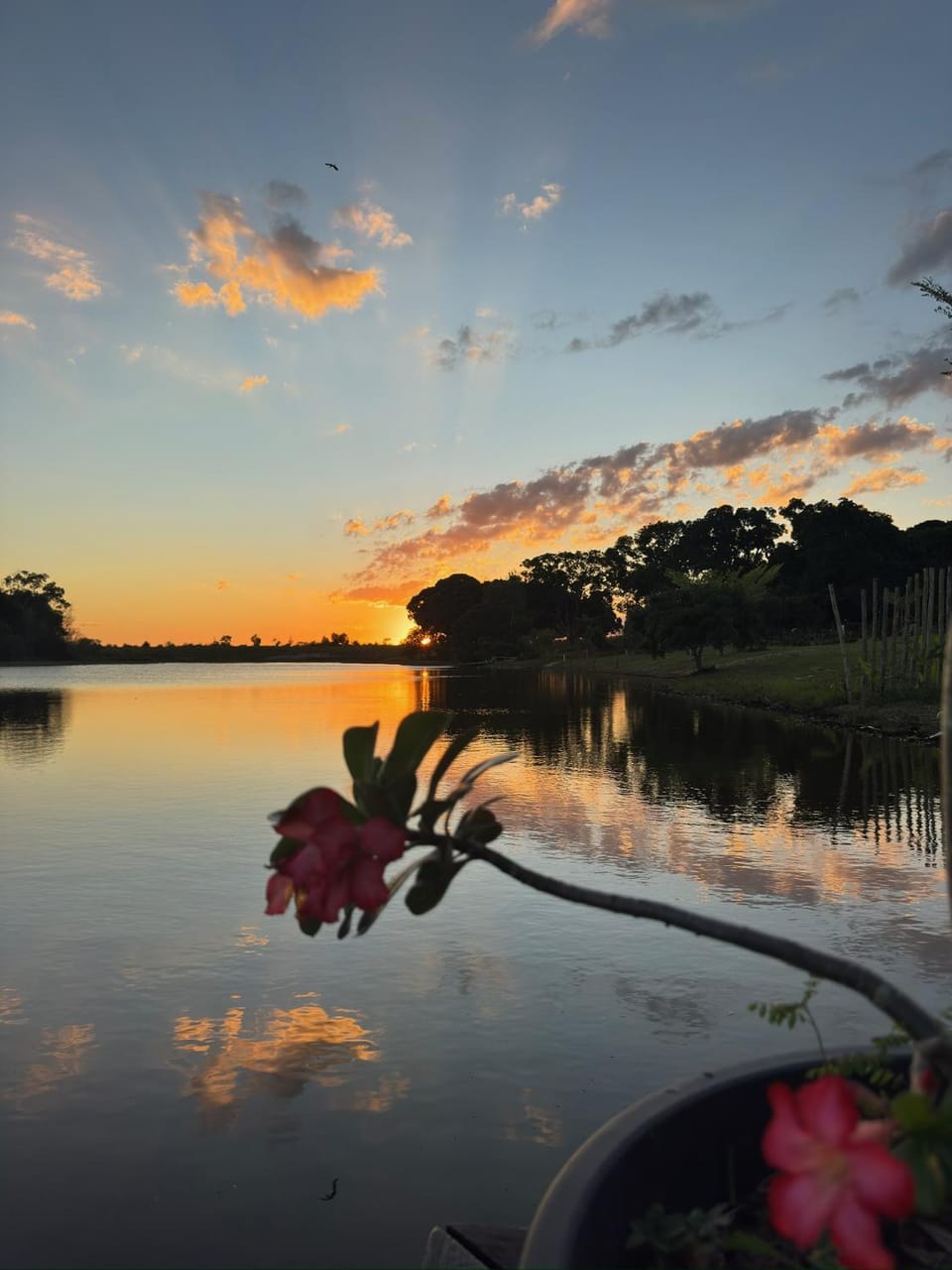Refúgio do Lago Campground/ 
RV Resort in State of Espírito Santo, Brazil