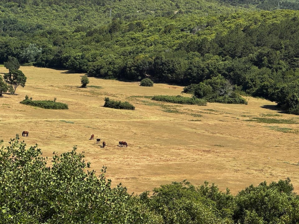 Off site, Natural landscape