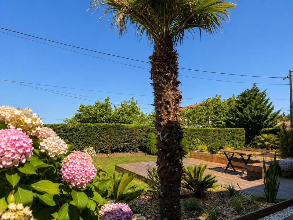 Patio, Garden