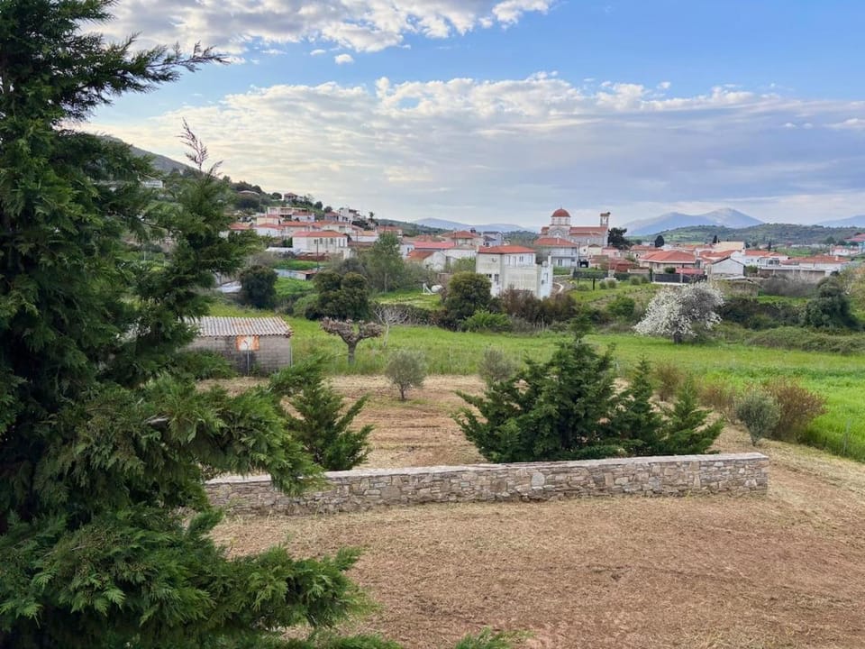 Βίλα Αντί Ονείρου - Διαμέρισμα Ολίβια Apartment in Euboea