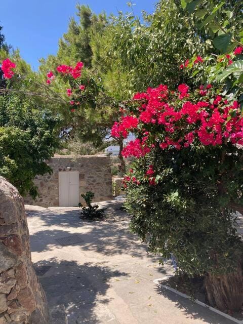Day, Garden, Garden, Garden view