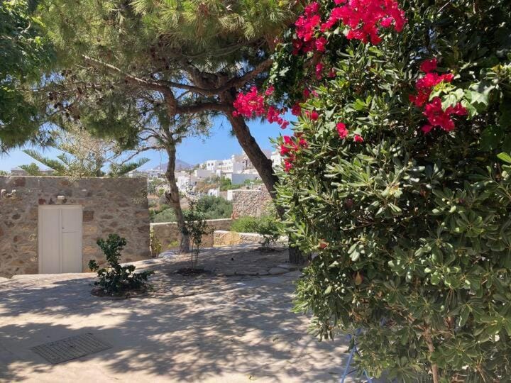 Garden, Garden view, Garden view
