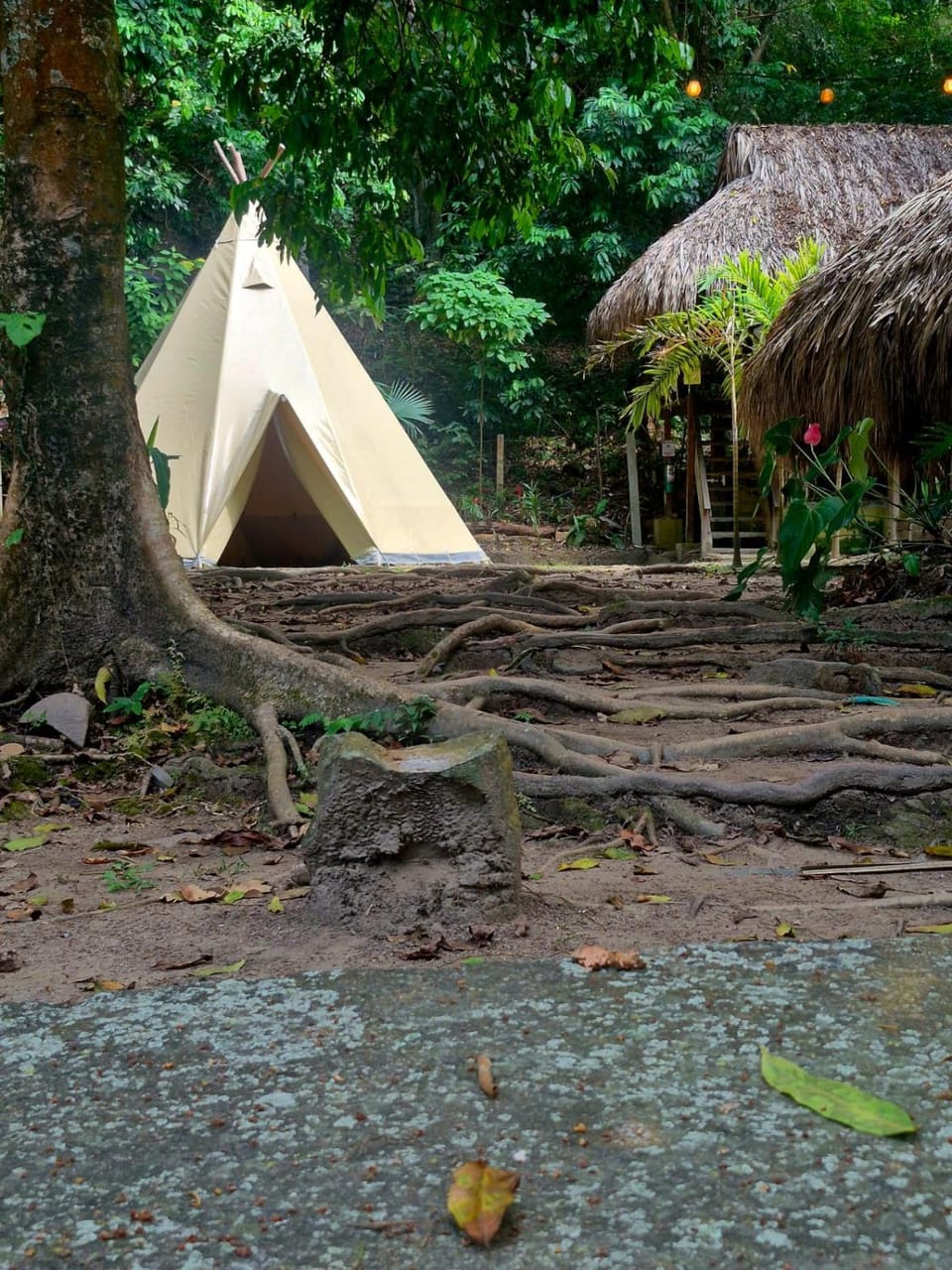 El Bosque Minca Hotel in Minca
