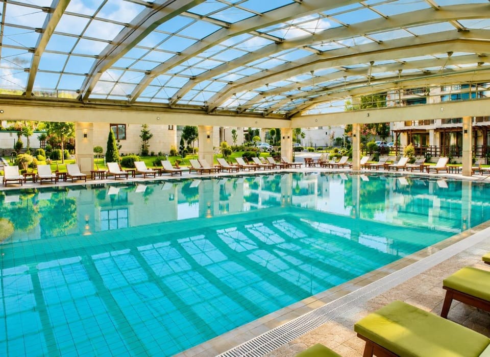 Pool view, Swimming pool, Swimming pool, sunbed