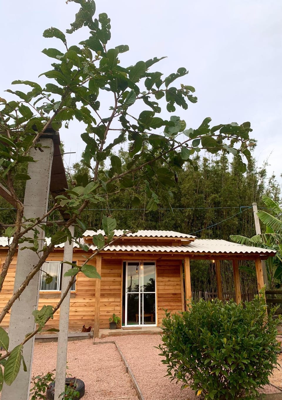 Casa de Campo Gatos Nature lodge in State of Rio Grande do Sul