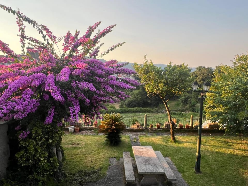 Off site, Garden, Garden view
